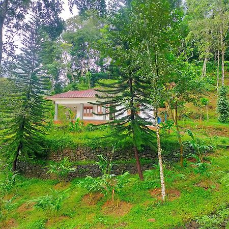 Anivilla Holiday Home Kunjithanny Anachal المظهر الخارجي الصورة