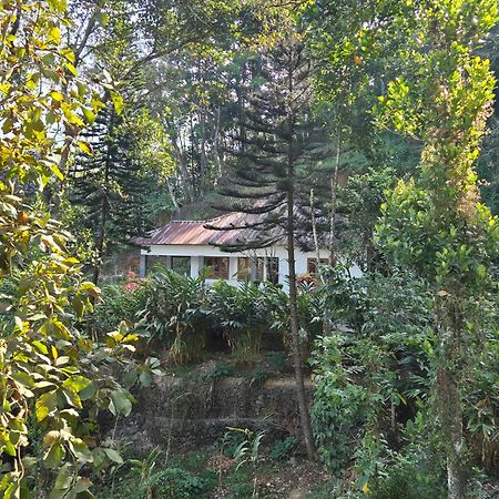Anivilla Holiday Home Kunjithanny Anachal المظهر الخارجي الصورة