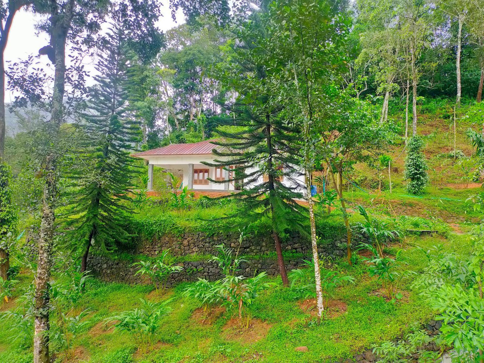 Anivilla Holiday Home Kunjithanny Anachal المظهر الخارجي الصورة