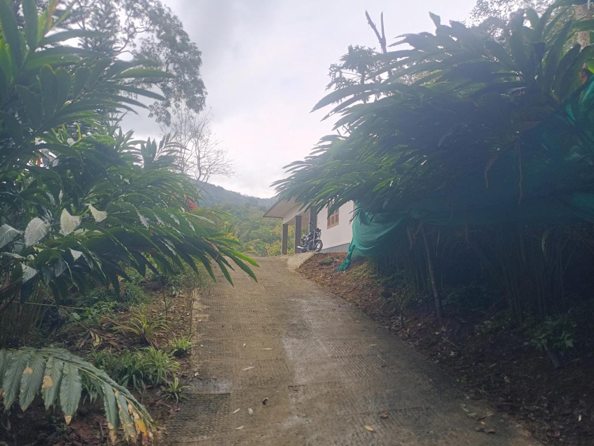 Anivilla Holiday Home Kunjithanny Anachal المظهر الخارجي الصورة
