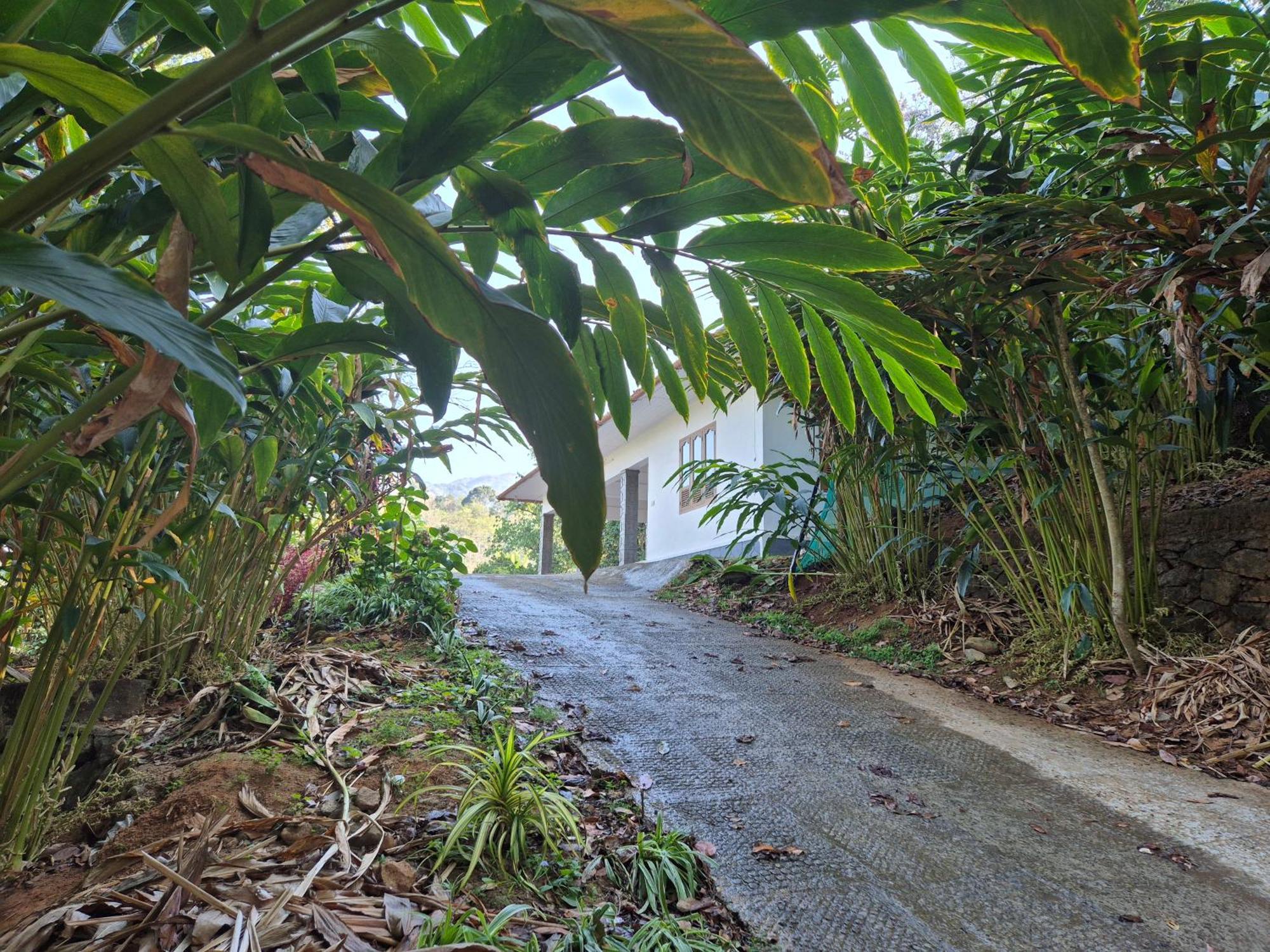Anivilla Holiday Home Kunjithanny Anachal المظهر الخارجي الصورة